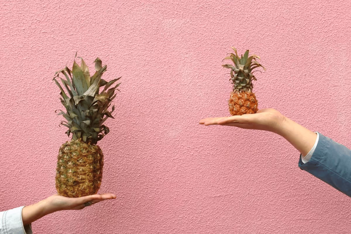 Two hands hold pineapples against a pink textured background. The left hand holds a large pineapple, the right hand a smaller one, creating a playful contrast.