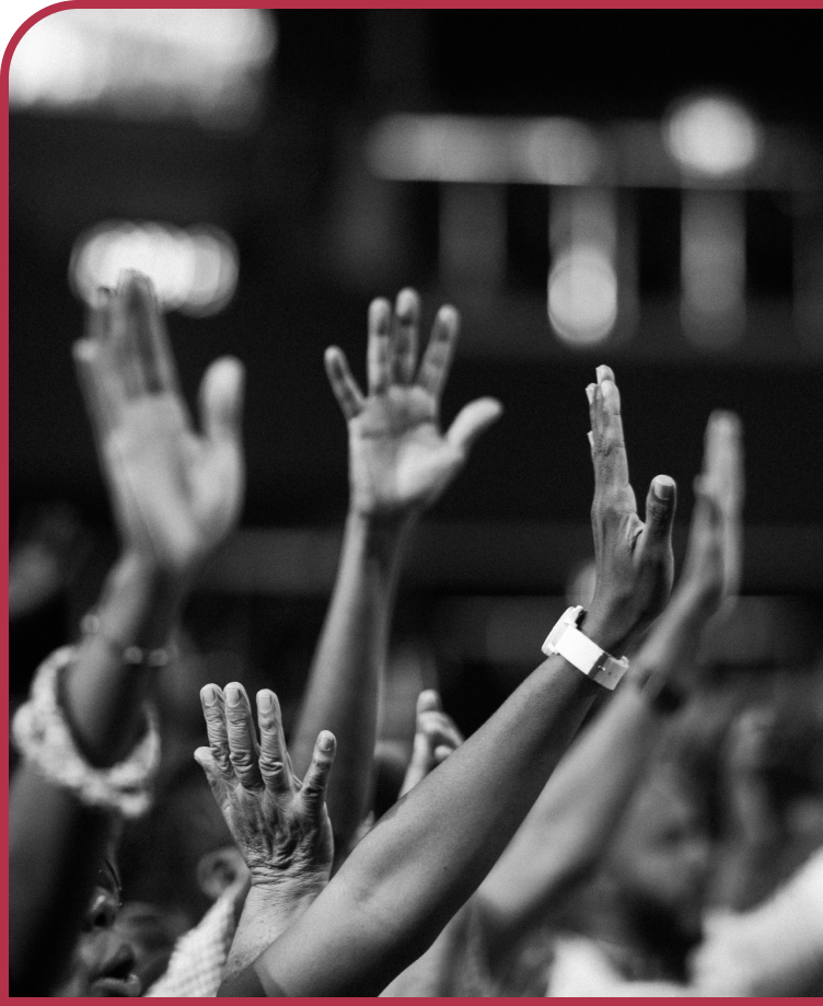 celebrity and influencer integrations