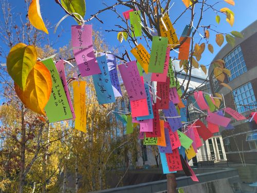 Image of a tree with multiple coloured papers hanging from its branches