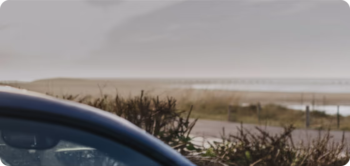 Partial view of a blue car near coastal grass and bushes with the ocean in the background.