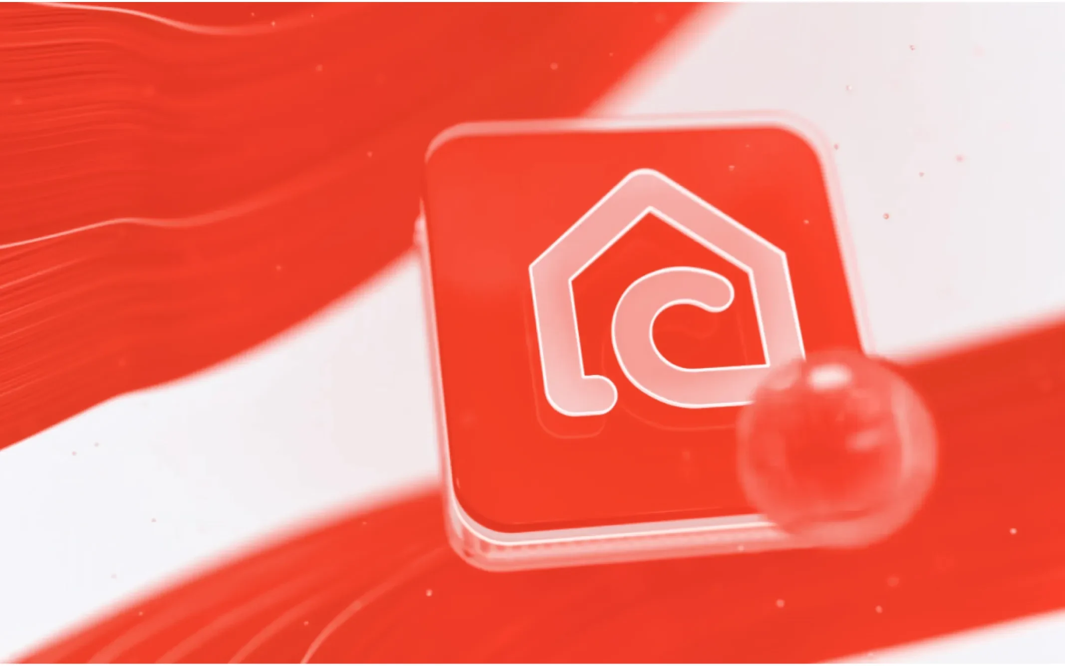 Condomini Case Study: Brand Identity and Website