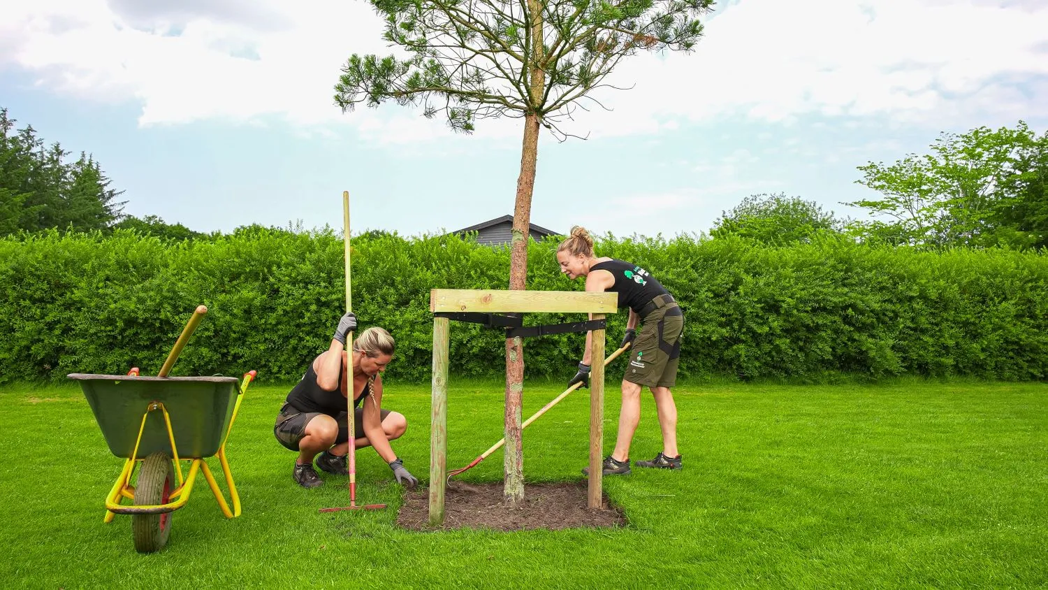 To kvinder er ved at plante et træ i en have