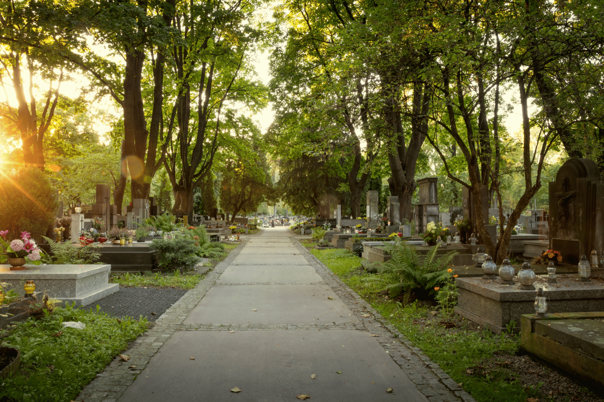 New Orleans Cemetery Tour: Your Guide to the City's Most Fascinating Final Resting Places
