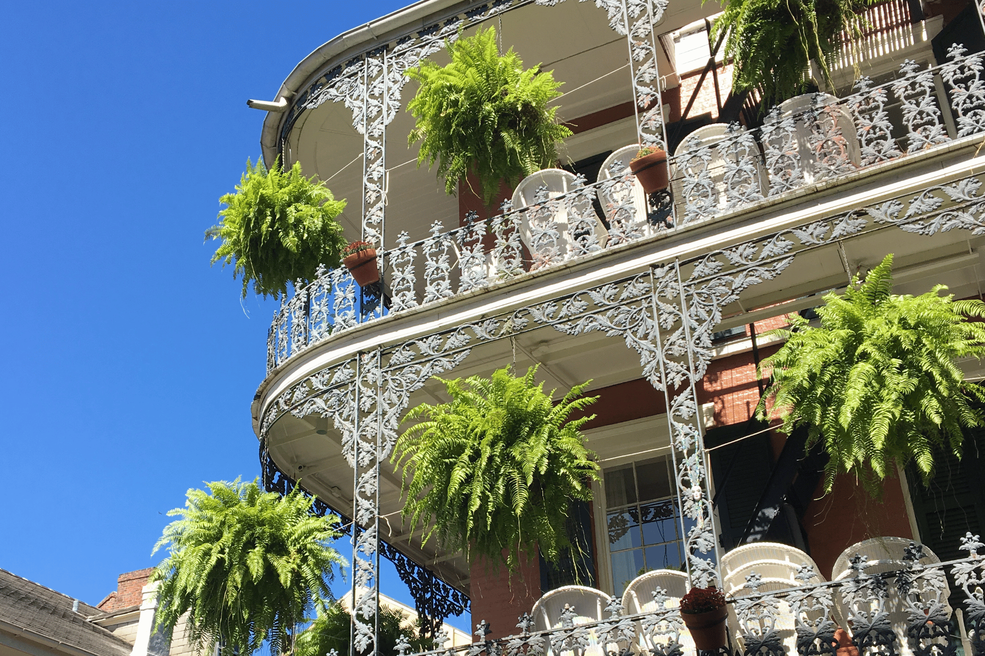 Your Complete Guide to the Garden District Walking Tour in New Orleans