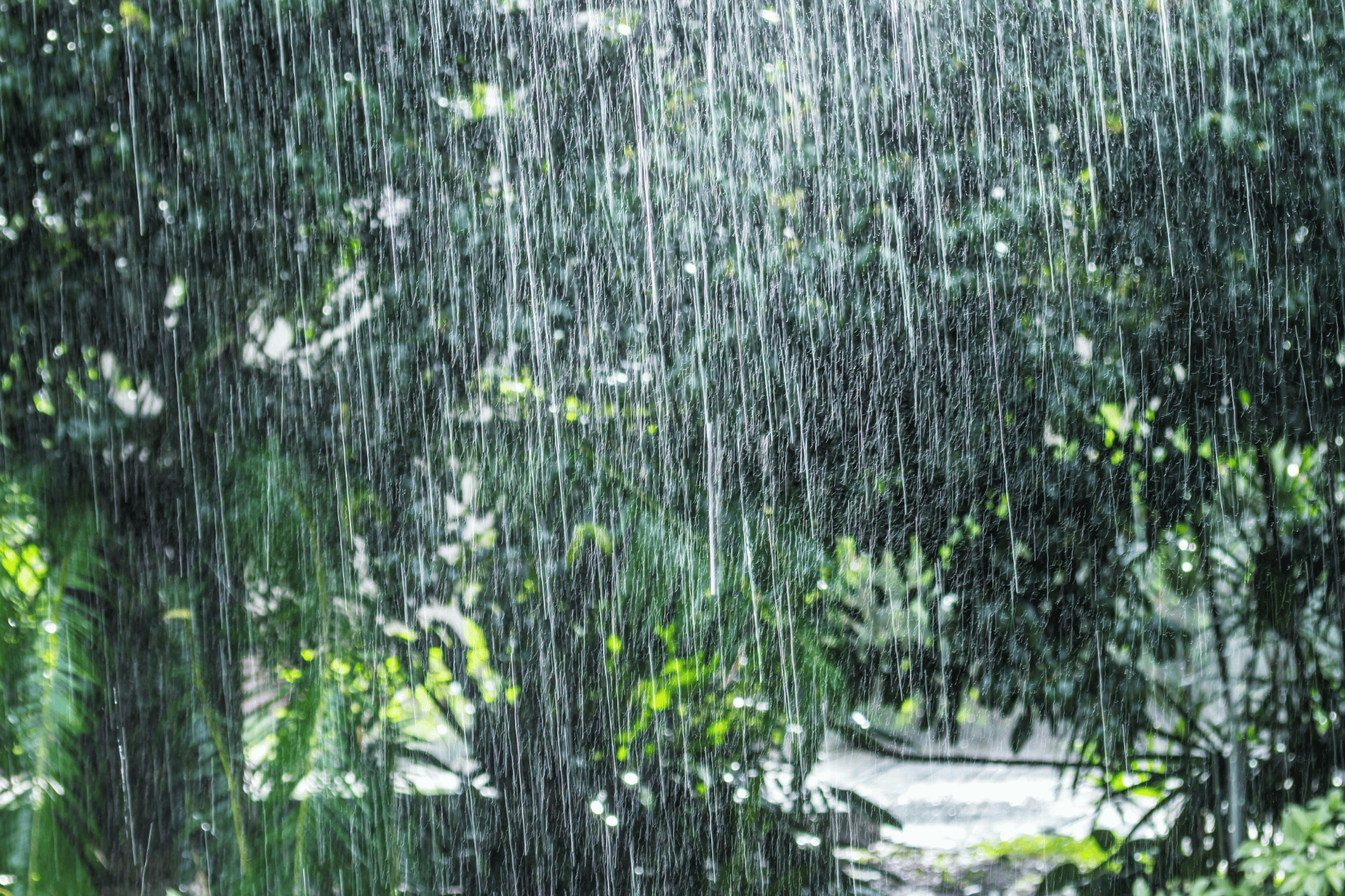 What to Do in Miami When It Rains: Your Guide to Indoor Adventures