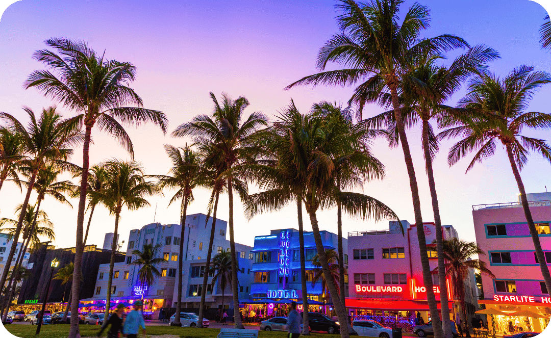miami nightlife
