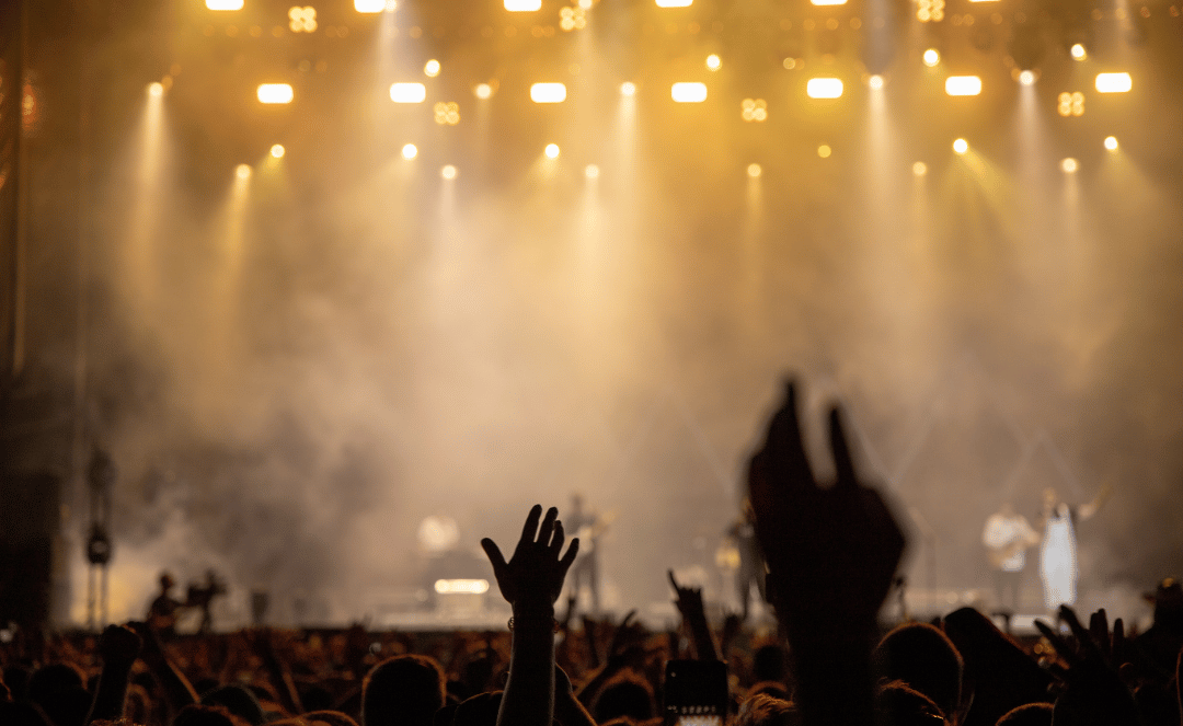 large crowd at live concert