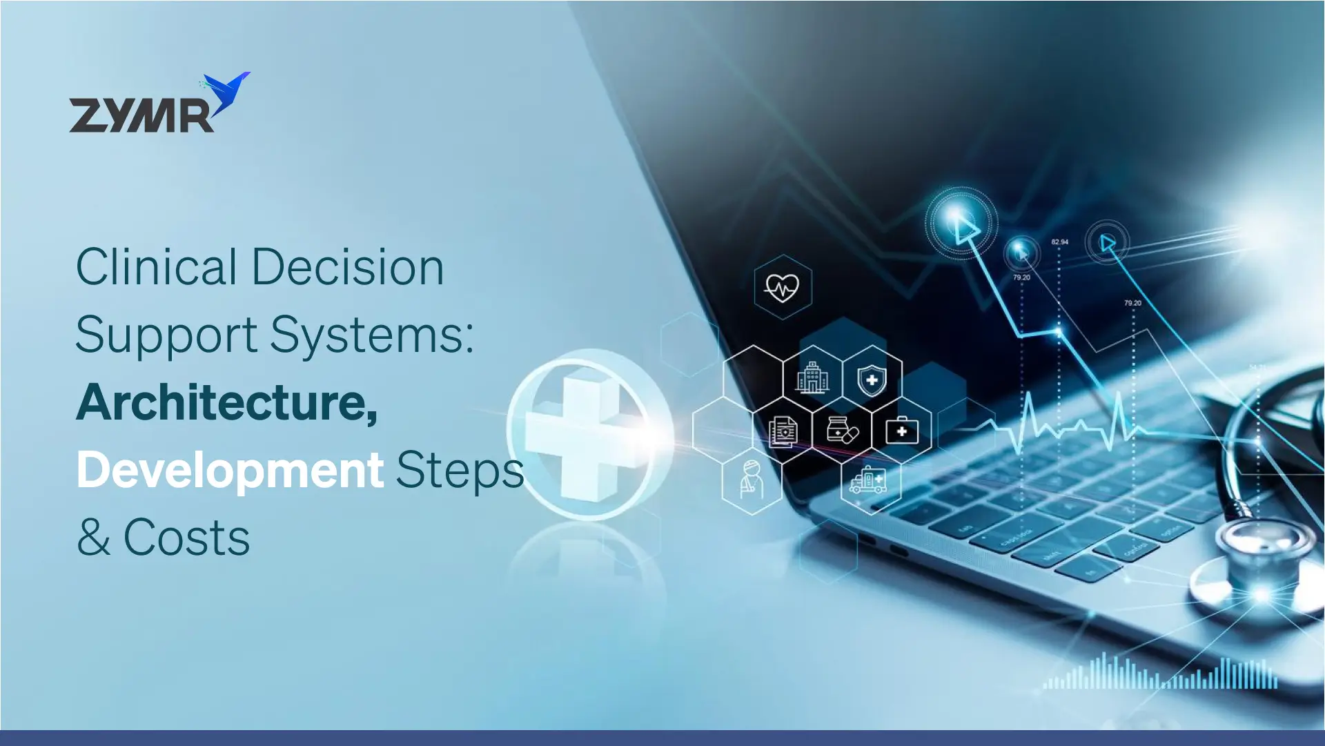 Clinical Decision Support Systems