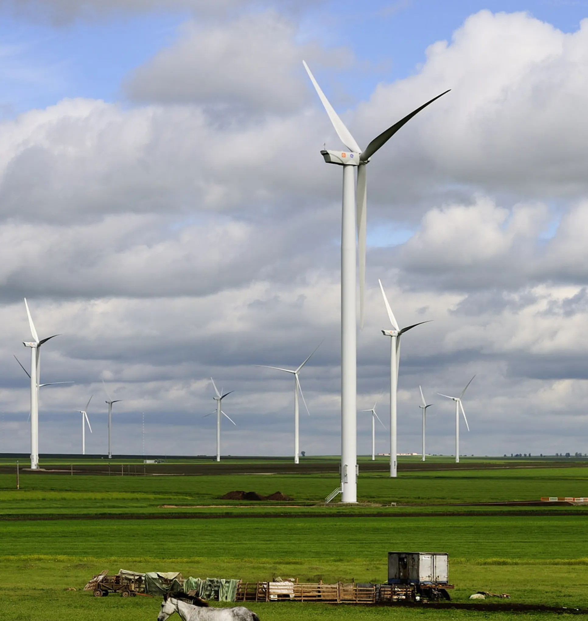 A field with some wind turbines.