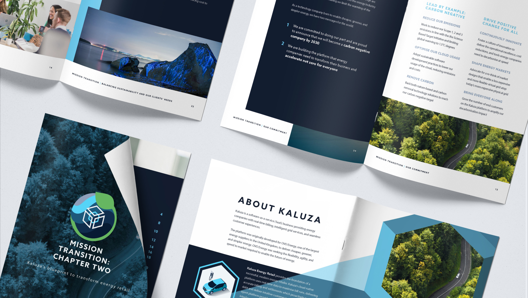 4 open brochures
