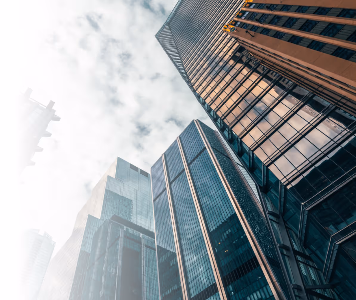 Large Enterprise Insights