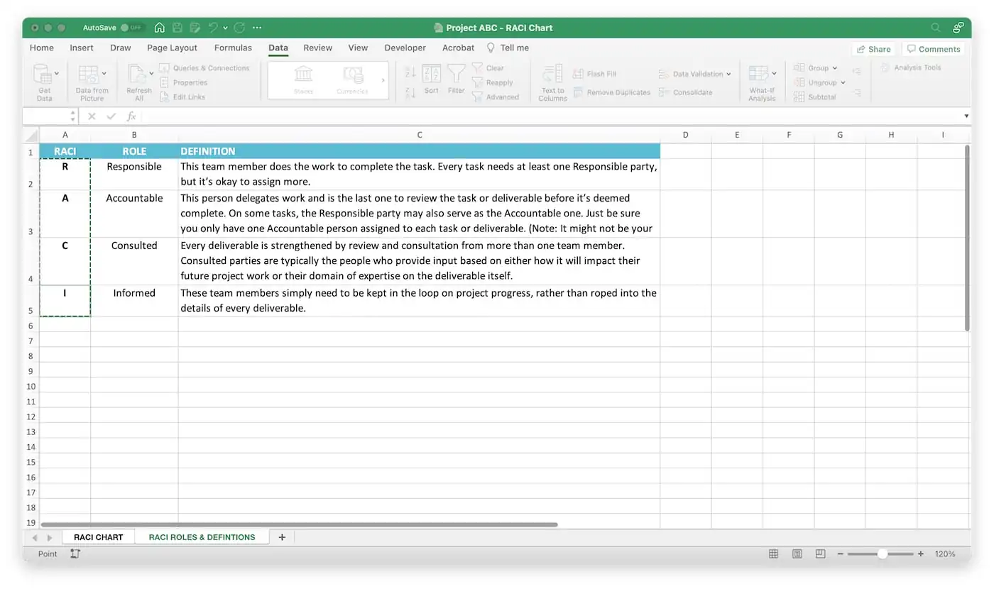 Excel RACI Matrix Step 4c - Select data source