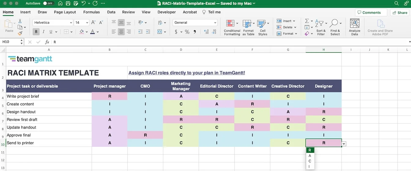 Excel RACI Matrix Step 6 - Assign a role to everyone on every task