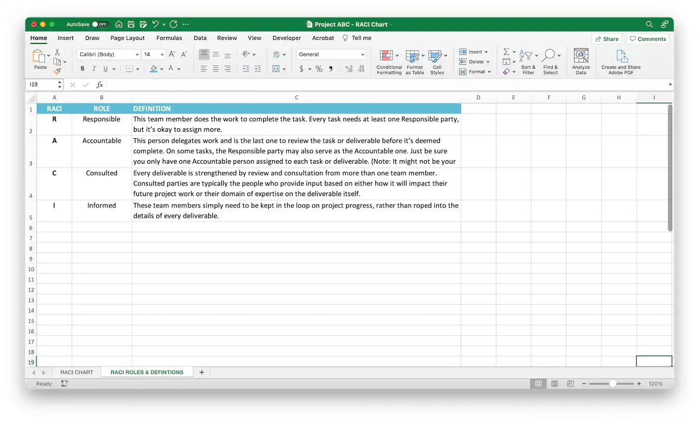 Excel RACI Matrix Step 3b - Enter roles and definitions