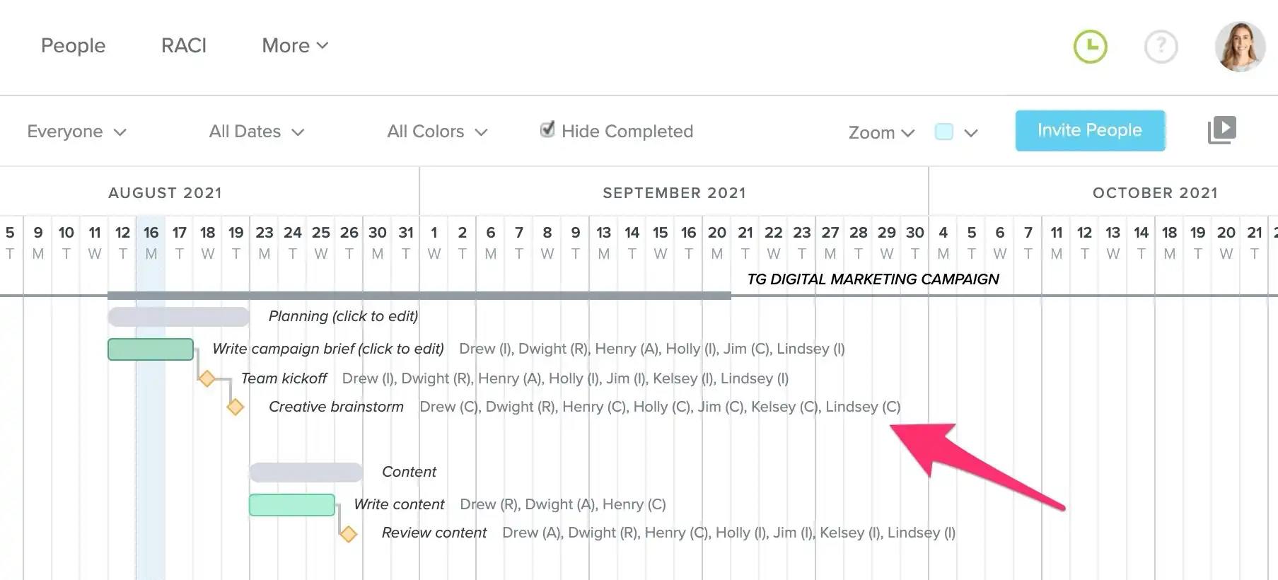 Screenshot of RACI roles in a TeamGantt timeline