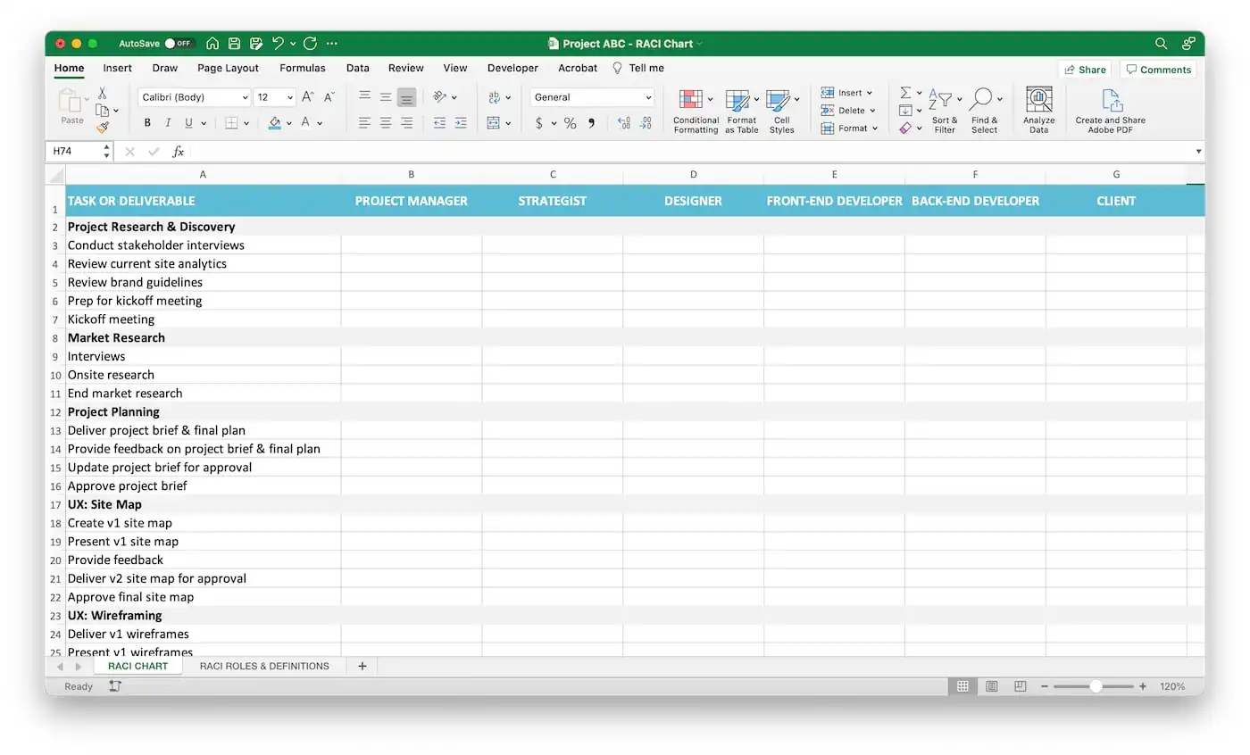 Excel RACI Matrix Step 2 - Add project role and team member names