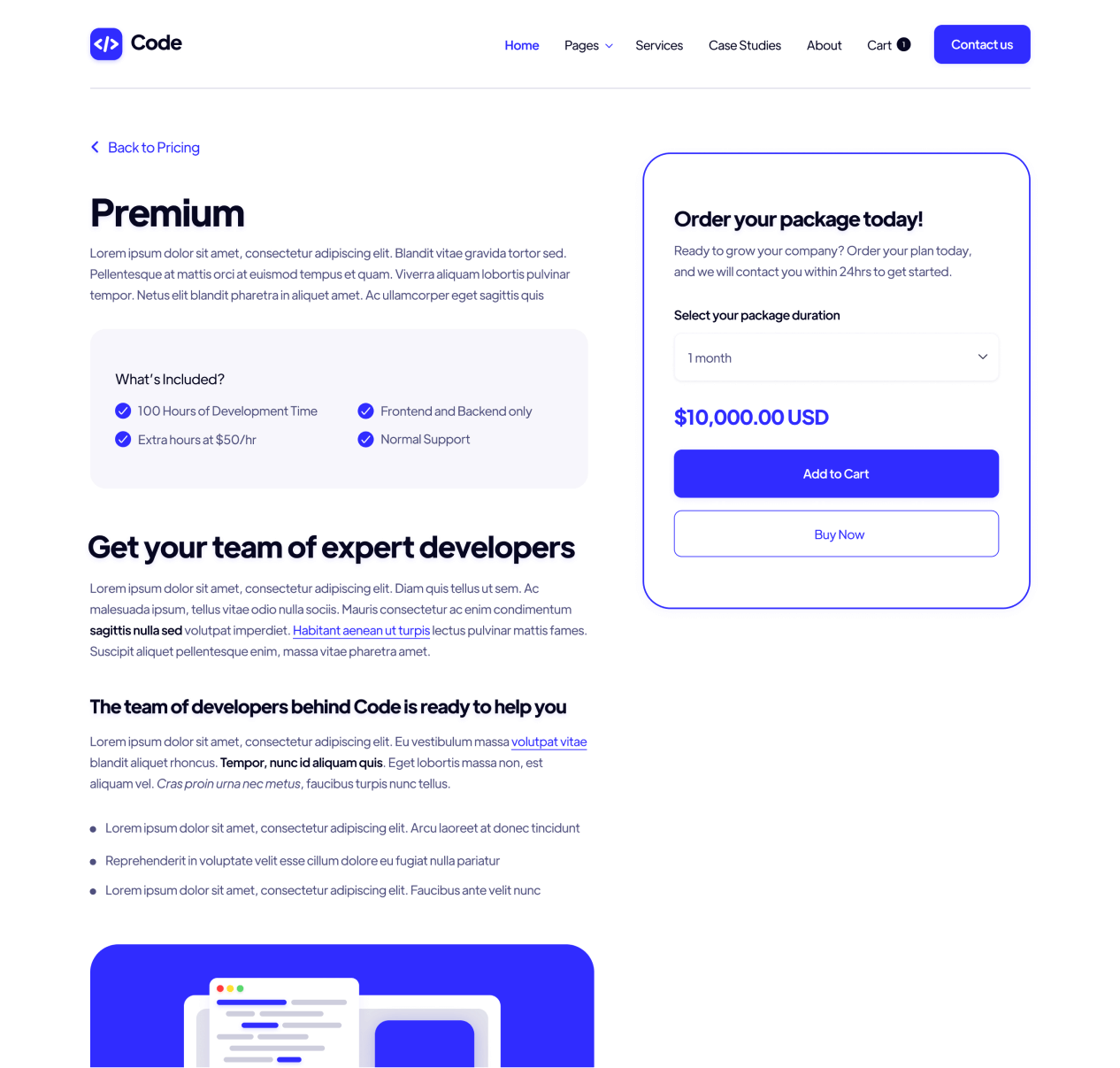 Code - Packages Single page - Development Agency Webflow Template