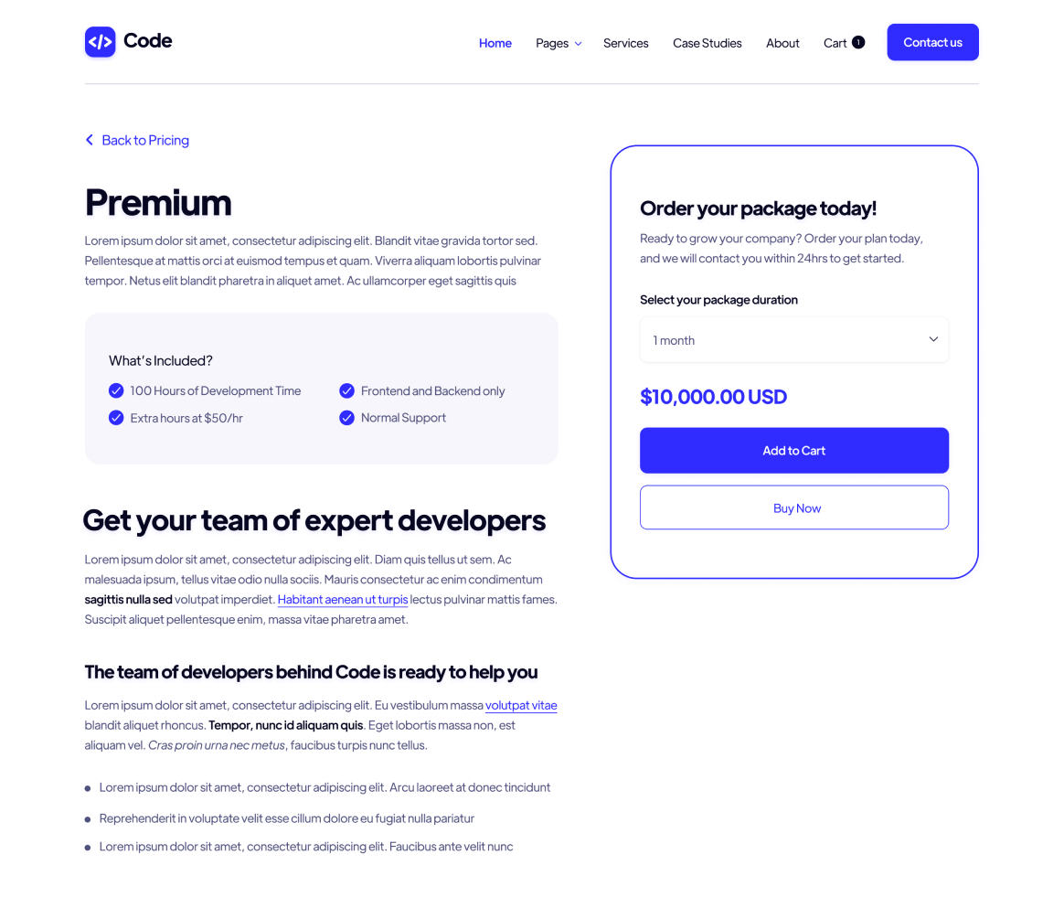 Code - Packages Single page - Development Agency Webflow Template