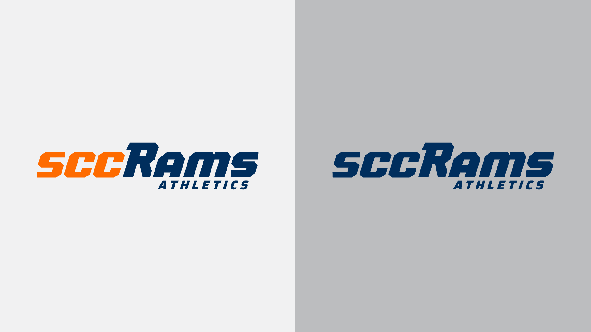 sports logo nc