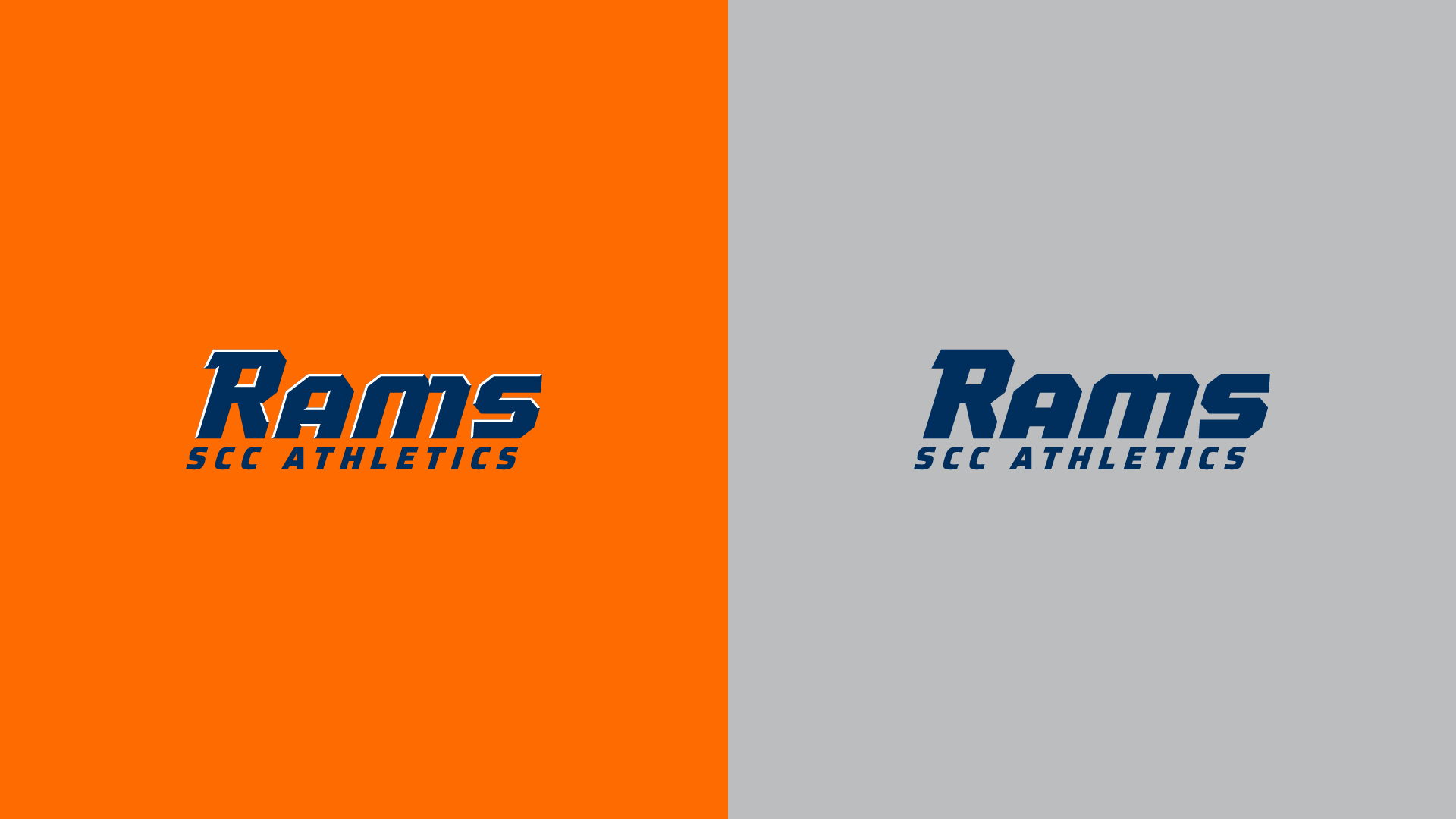 sports logo
