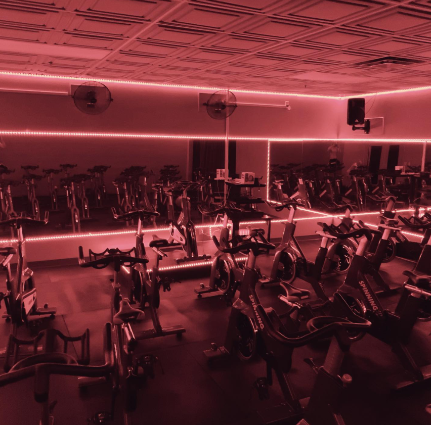 gym bikes