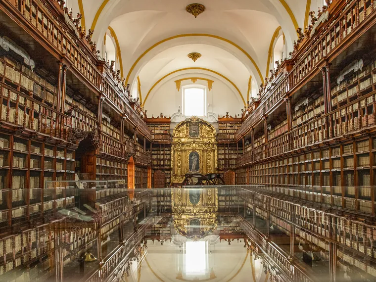 Shelves at the Palafoxiana Library