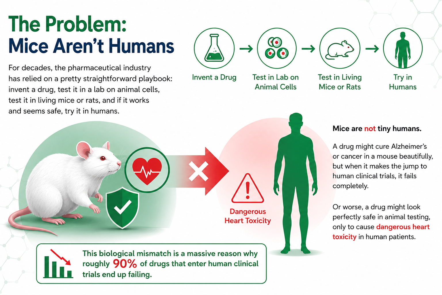 The Problem: Mice Aren't Humans