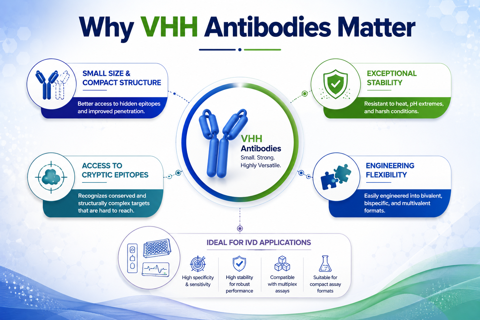 Why VHH Antibodies Matter
