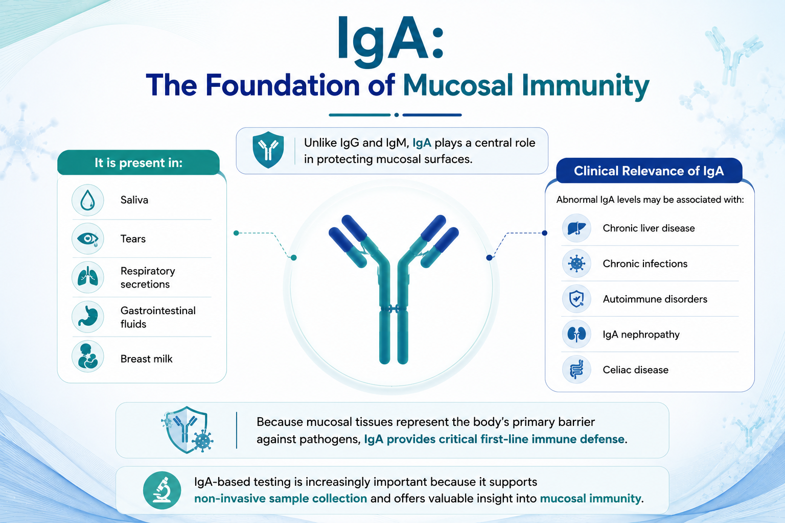 IgA The Foundation of Mucosal Immunity