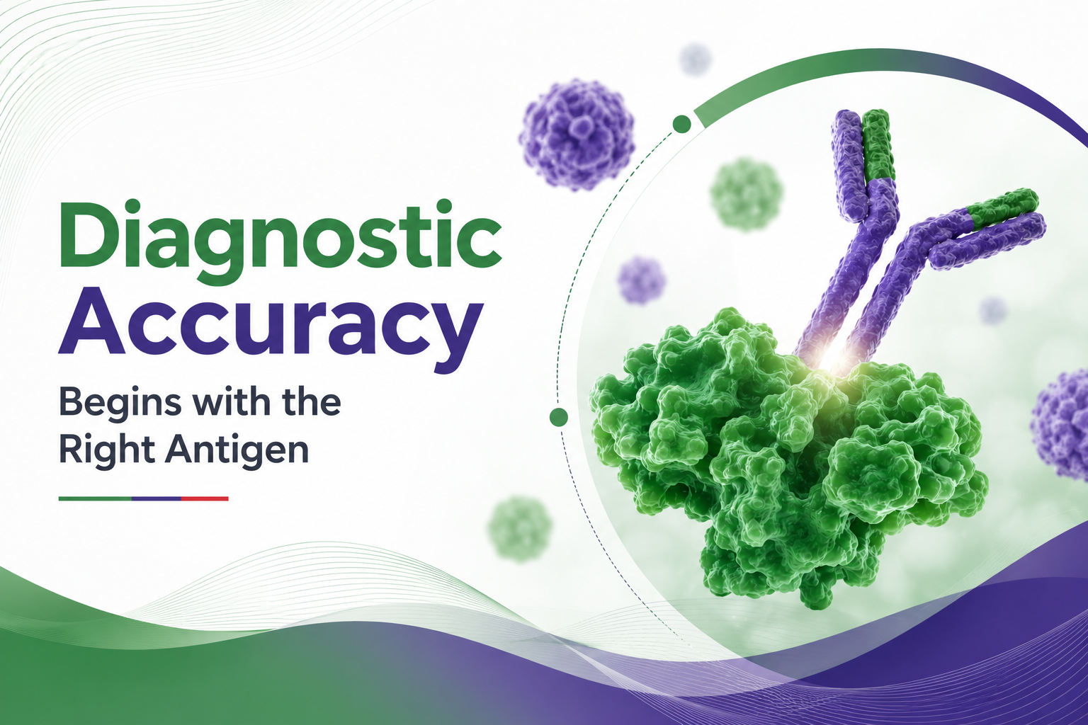 Diagnostic Accuracy Begins with the Right Antigen