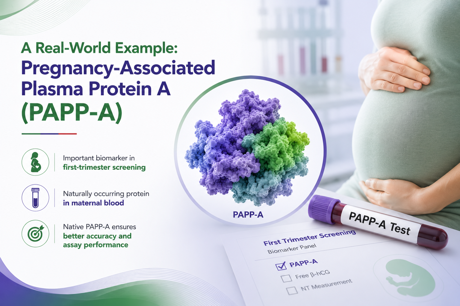 Pregnancy-Associated Plasma Protein A