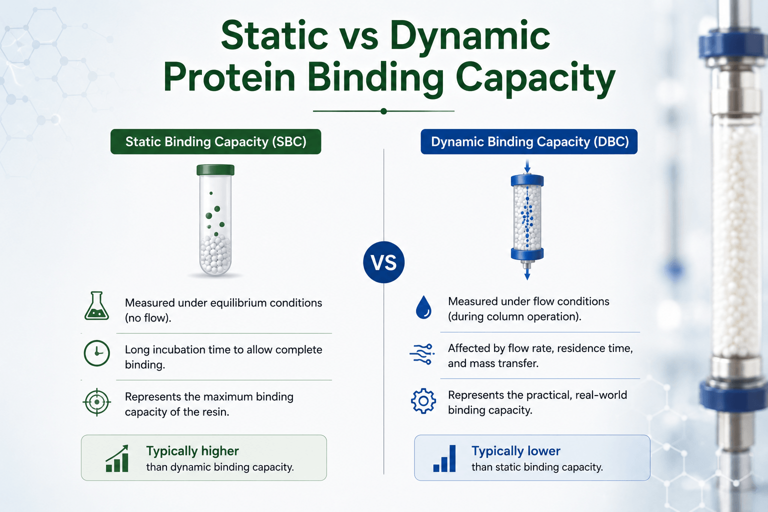Static vs Dynamic Protein Binding Capacity