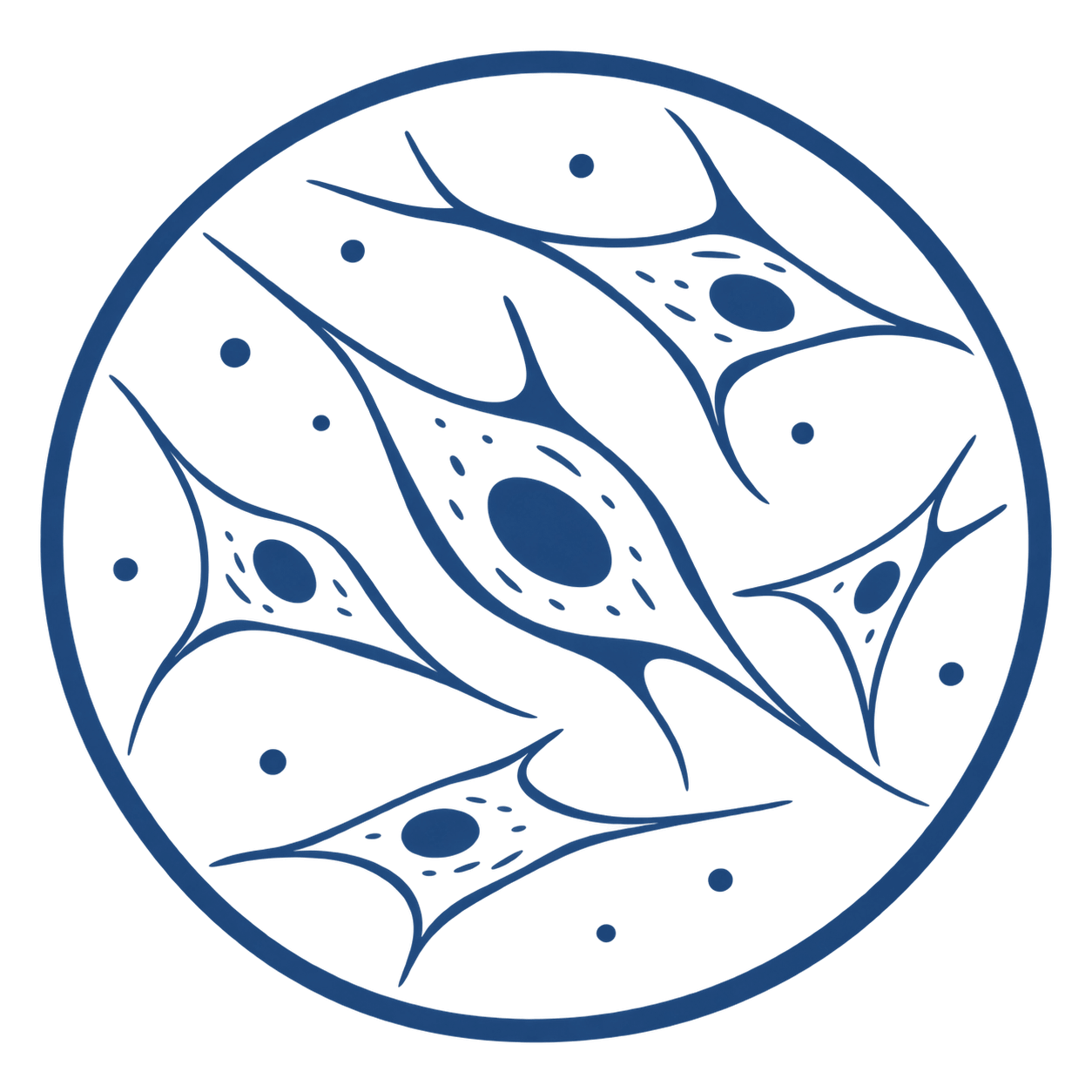 Primary skin cells