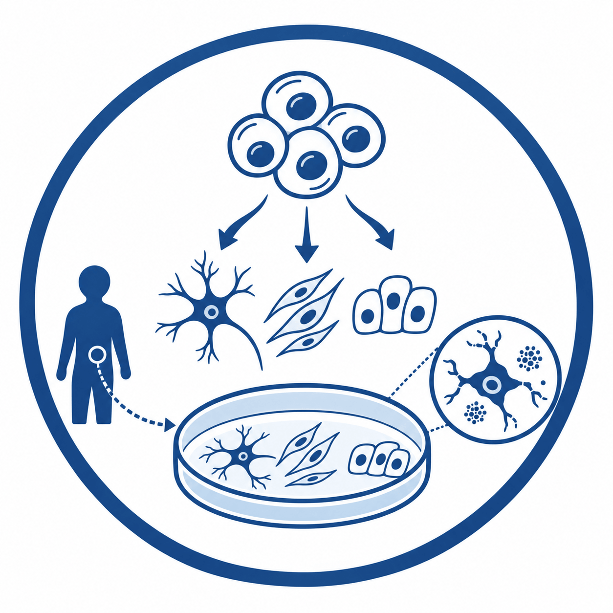 Disease modeling workflow