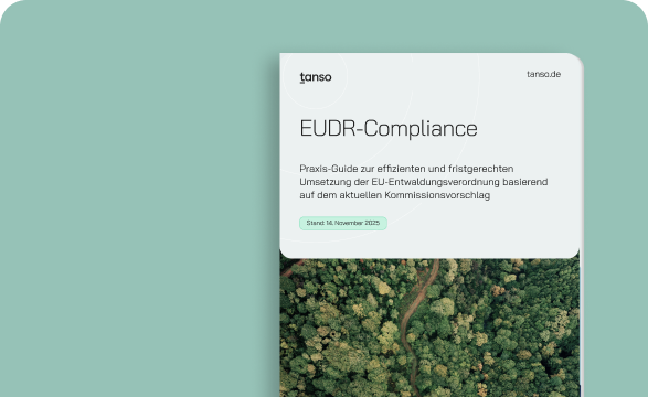 Guide zur EUDR - mit Experteninsights und Empfehlungen für betroffene Unternehemen
