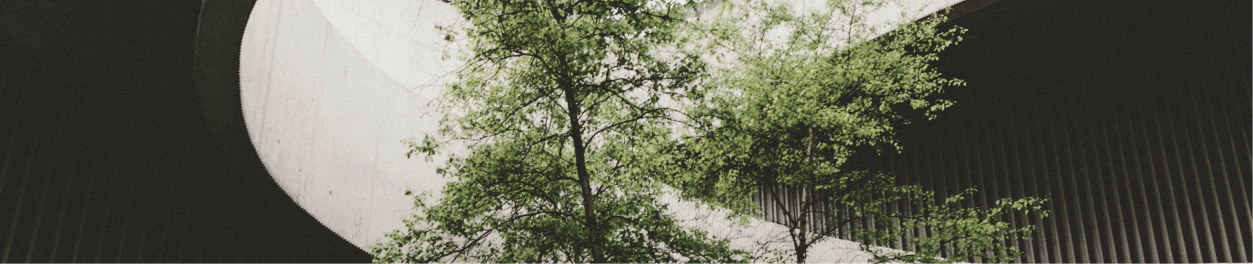 Zwei Nachhaltigkeitsmanager die eine Visite machen