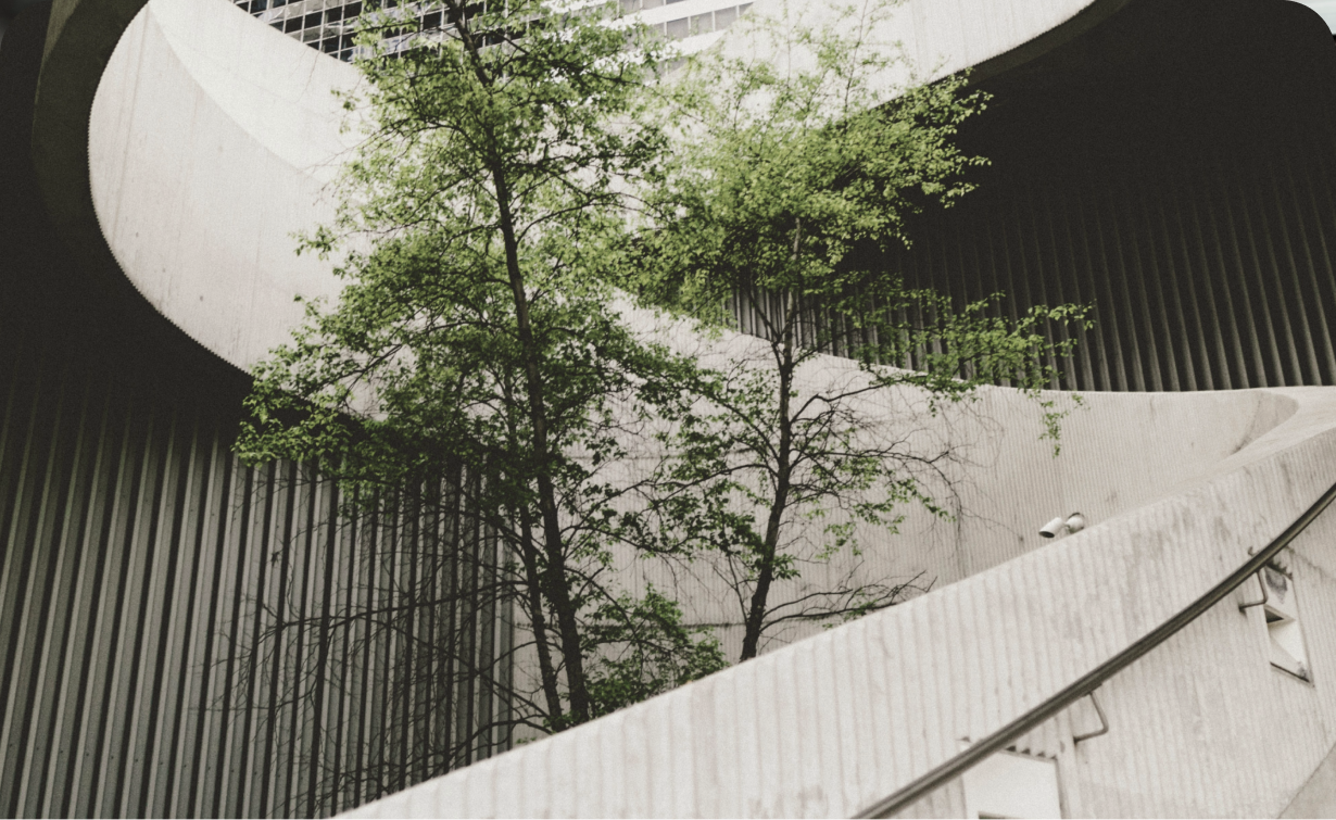 Artikel zur Entwicklung einer erfolgreichen Nachhaltigkeitsstrategie 