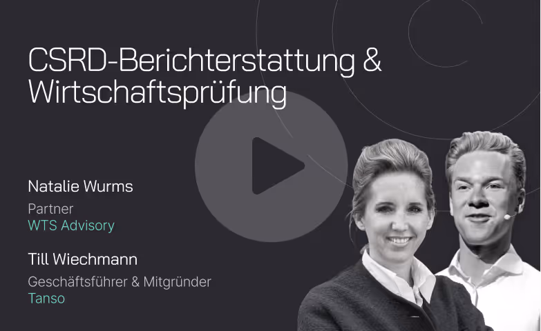 On-demand Webinar zu dem Thema: "CSRD-Berichterstattung & Wirtschaftsprüfung"