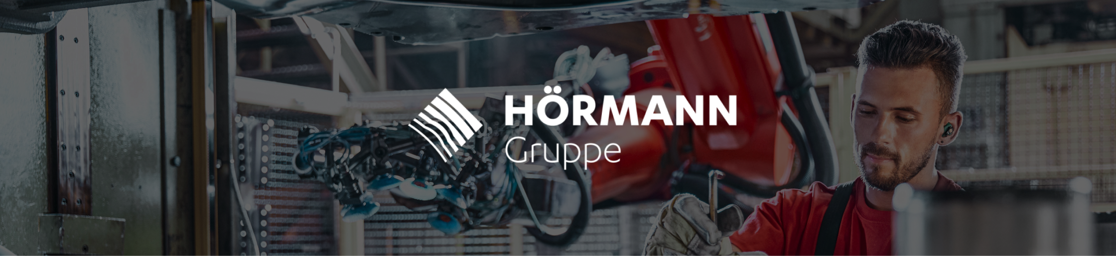 Case Study - HÖRMANN Gruppe: Effizientes Nachhaltigkeitsdatenmanagement mit Tanso