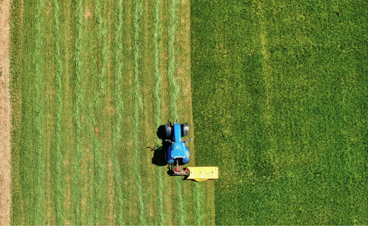 Artikel zu FLAG-Standard 2026: Neue Regeln für Landnutzung, CO₂-Entnahmen und Emissionsbilanzierung