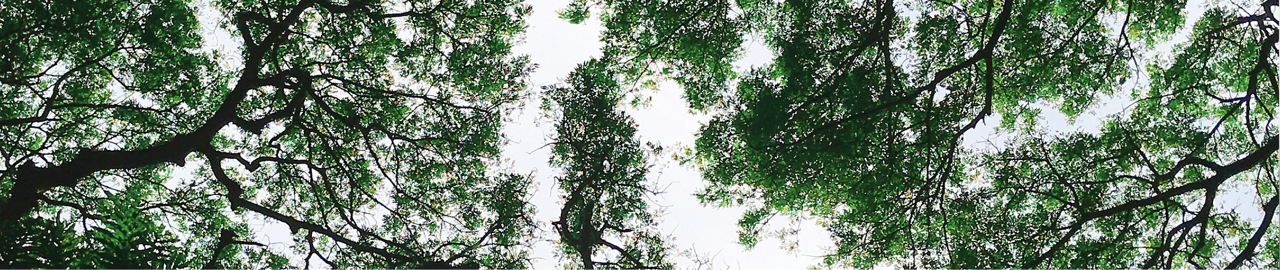 Zwei Nachhaltigkeitsmanager die eine Visite machen