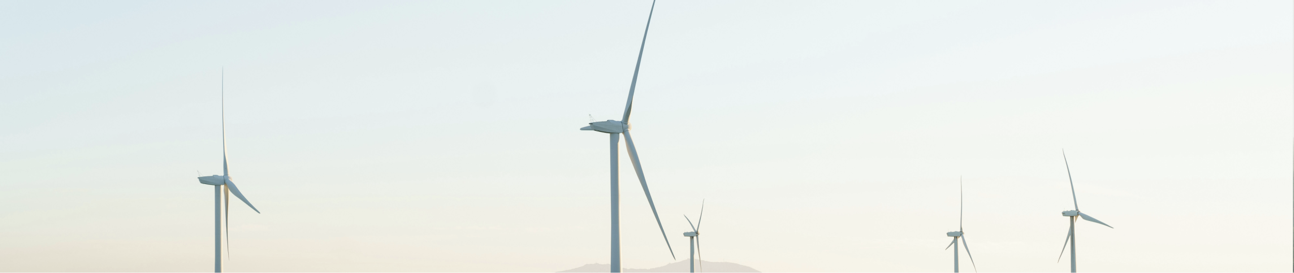 Zwei Nachhaltigkeitsmanager die eine Visite machen