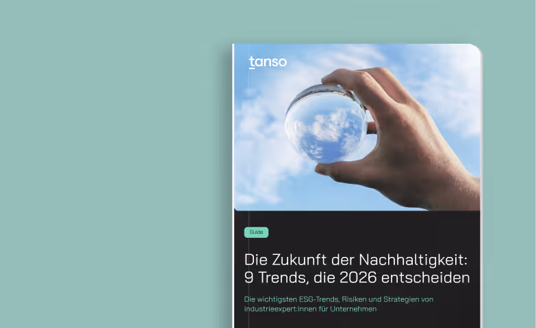9 Nachhaltigkeitstrends & Prognosen für 2026