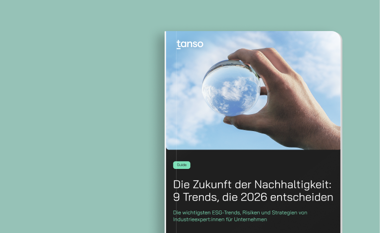 9 Nachhaltigkeitstrends & Prognosen für 2026