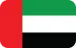 UAE flag