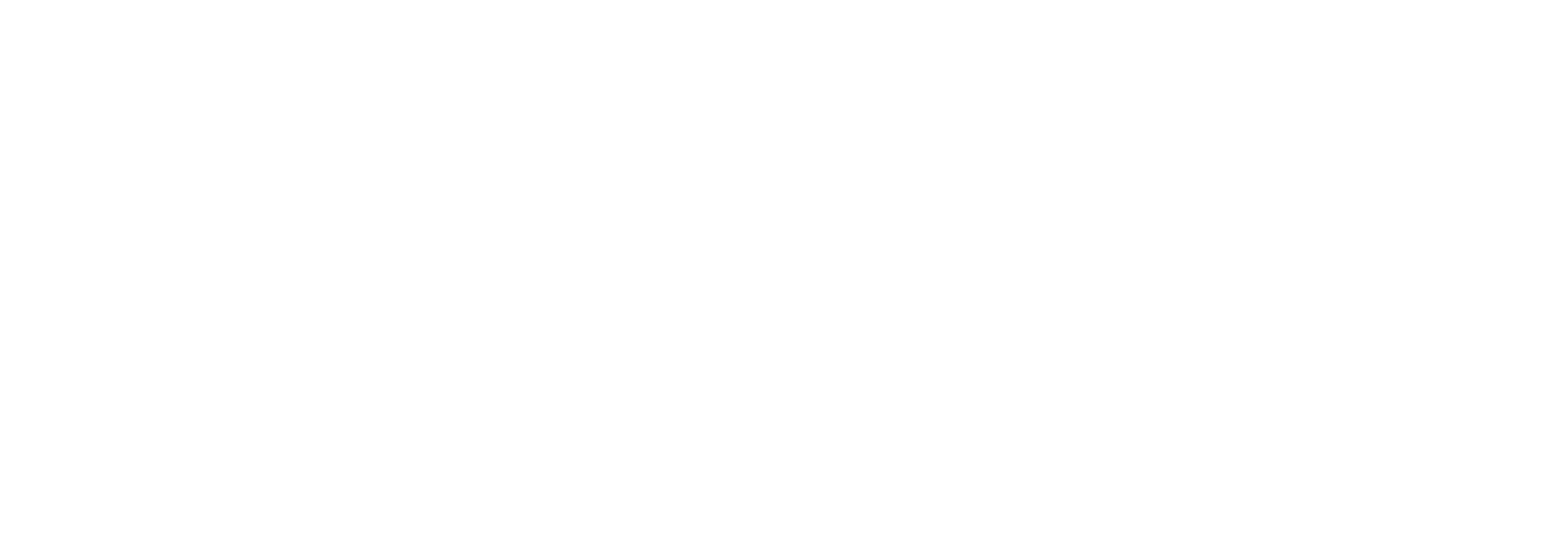 Microsoft Advertising Partner