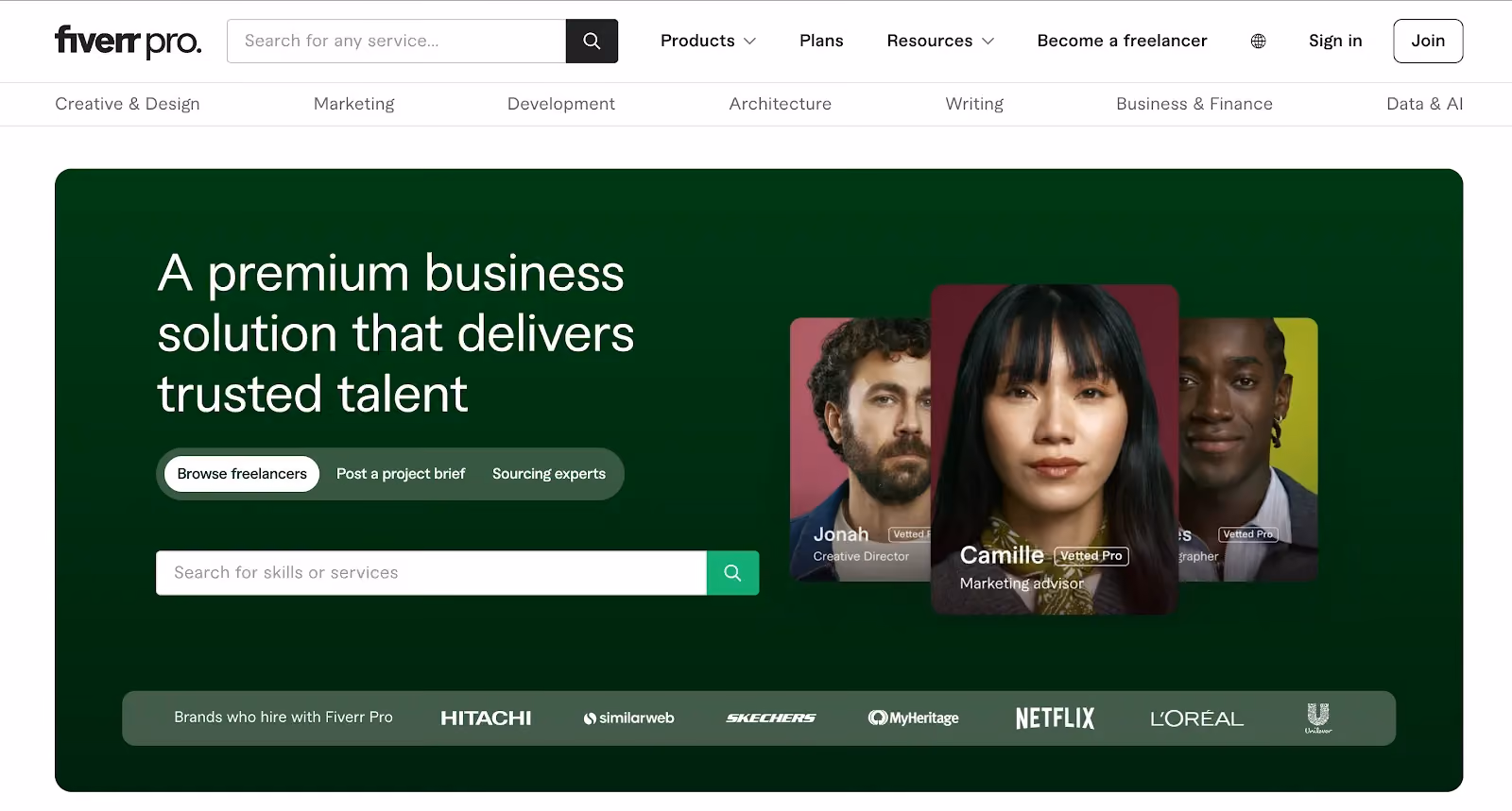 Fiverr Pro  turing alternative