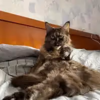 Kateryna O.'s pet photo