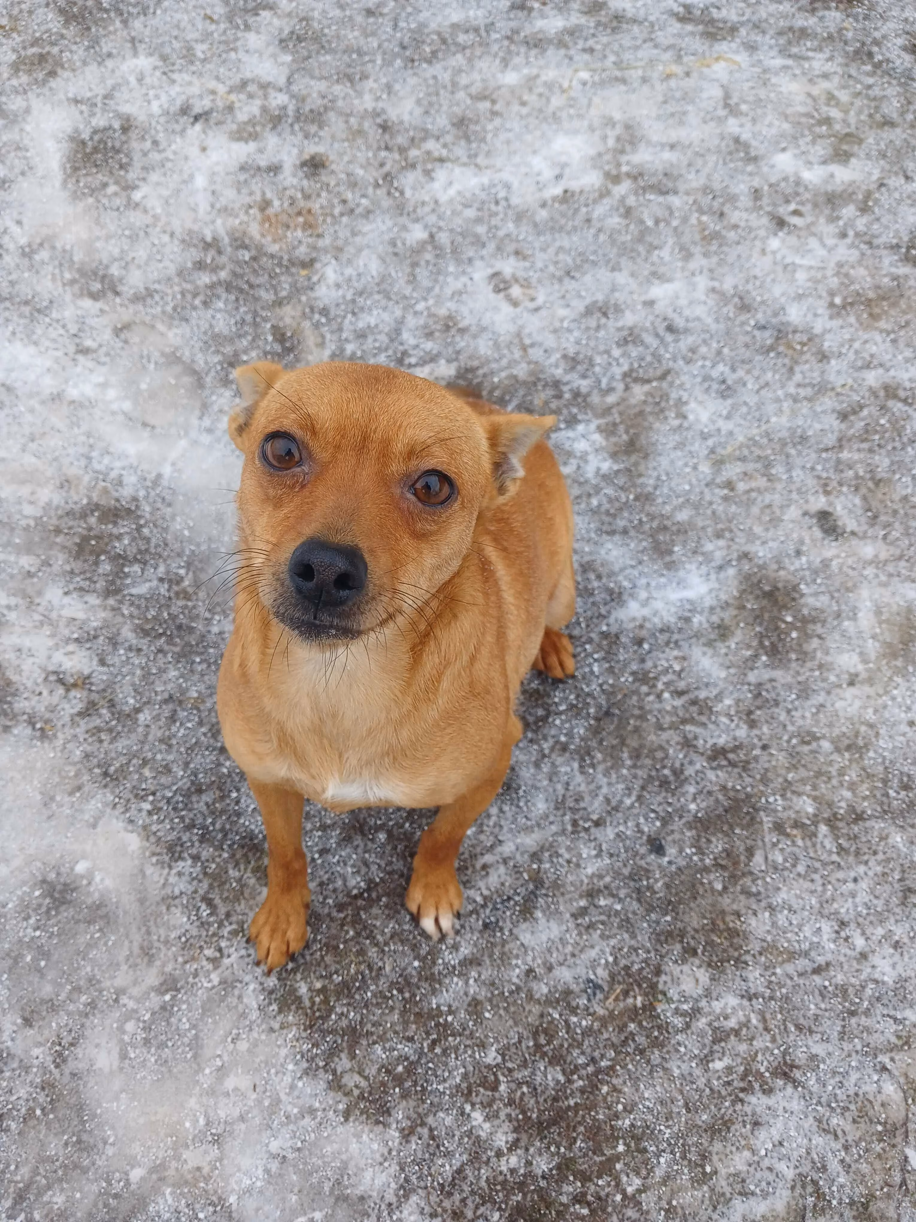 Mykola P.'s pet photo