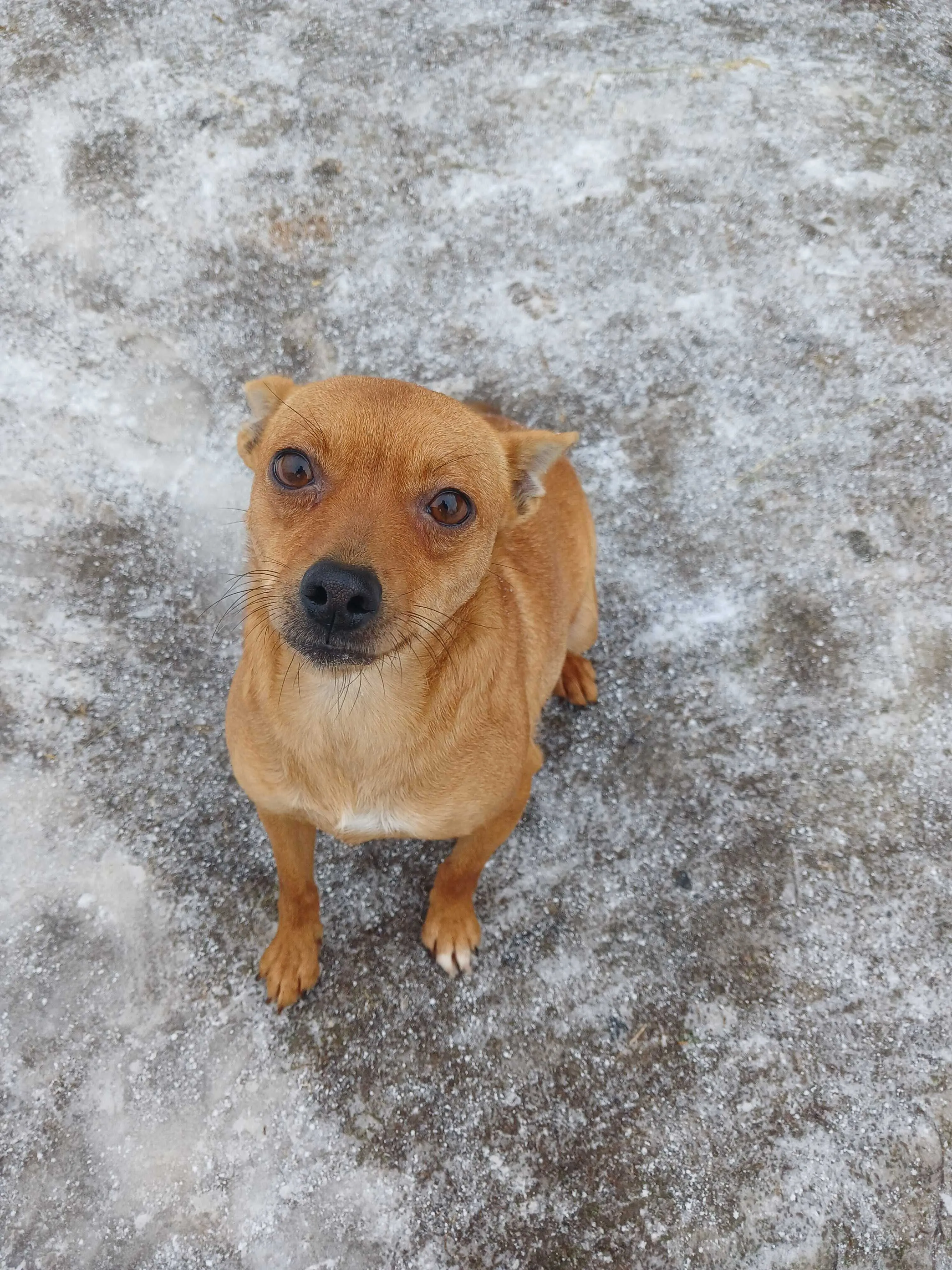 Mykola P.'s pet photo